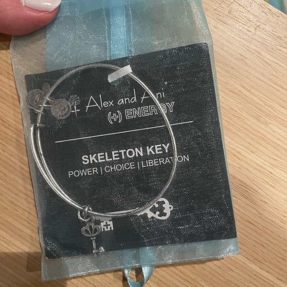 Alex and Ani Skeleton Key Charm Bangle Bracelet - Picture 3 of 3